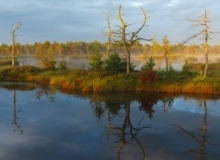 estonian-nature